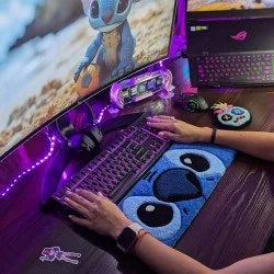 Stitch