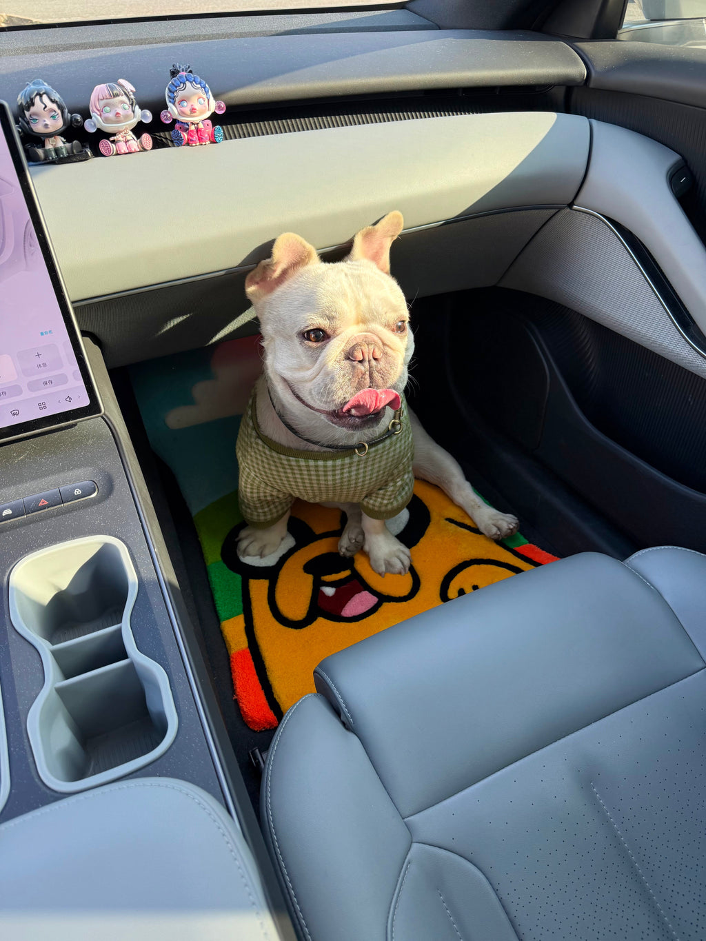 Adeventure Car Mat