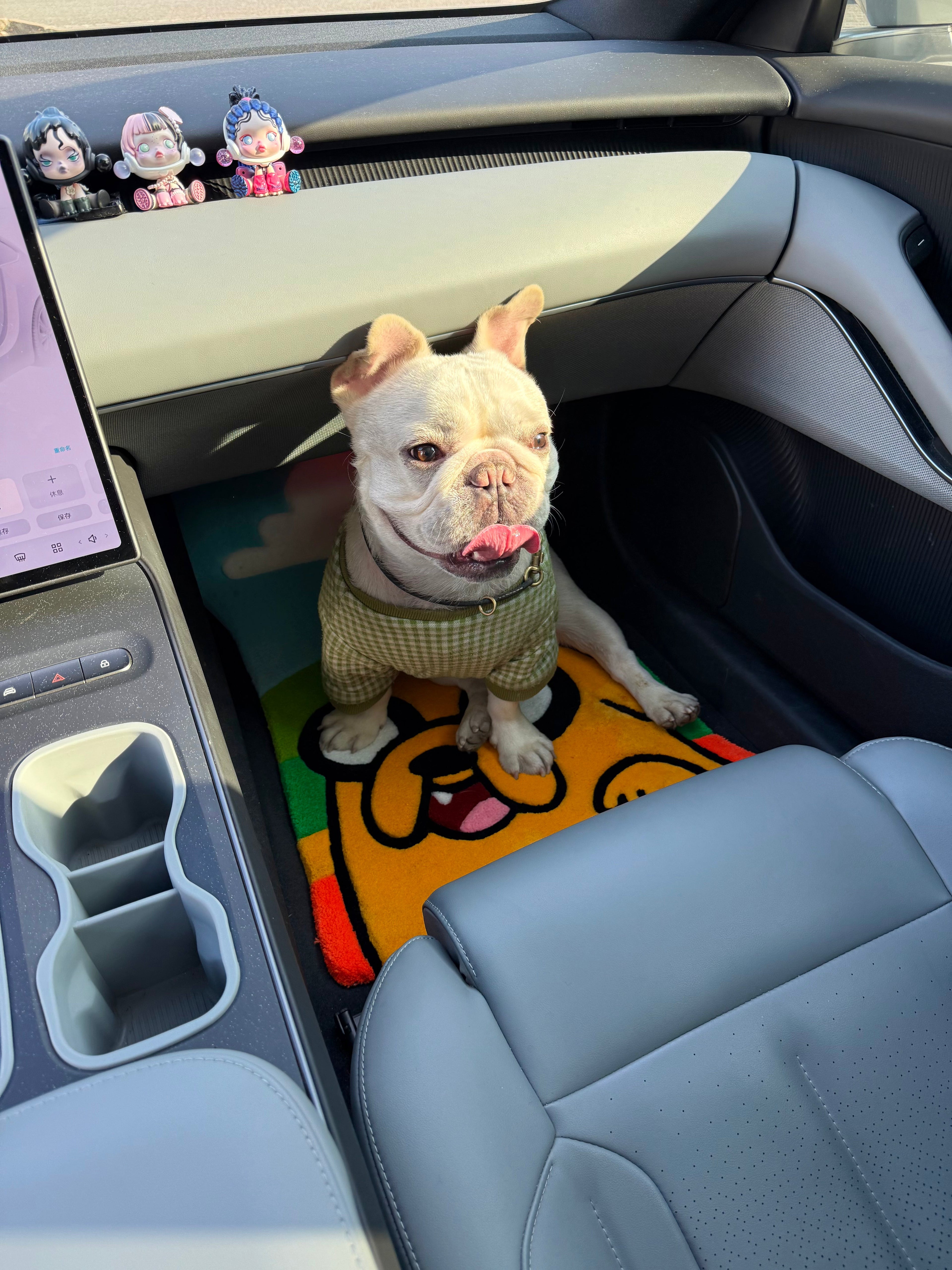 Adeventure Car Mat