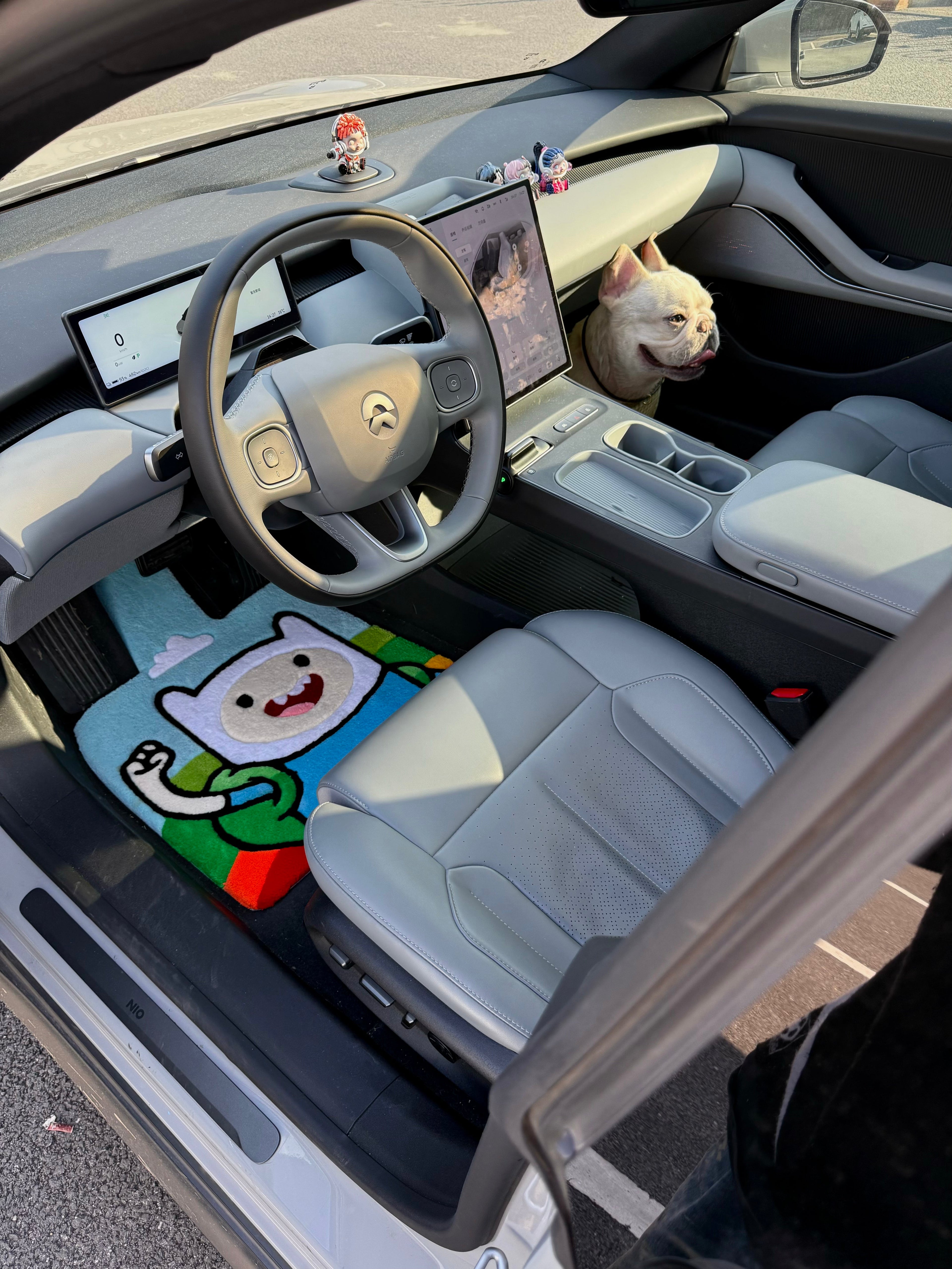Adeventure Car Mat